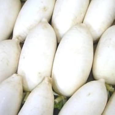 daikon様 DAIDOHANT Zマーク かね折り金物 SA-24 240 10177143の通販
